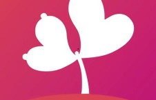 成人短视频害羞草,成人短视频中的情感共鸣与社交探索